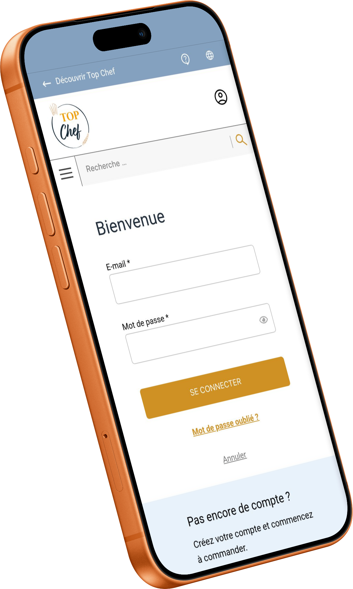 Mobile interface - Login
